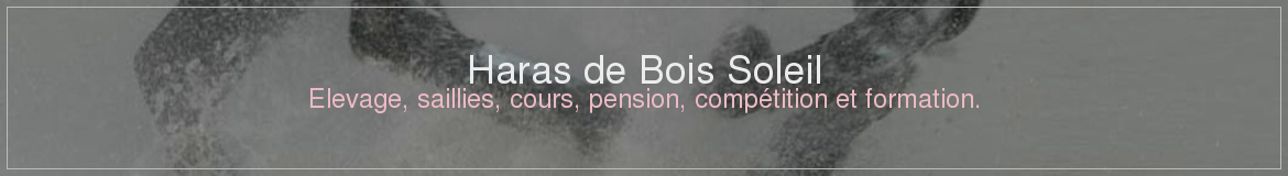 Haras de Bois Soleil